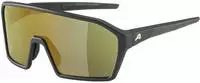 ALPINA Ram Q-Lite A8673 032 135 black matt / gold mirror