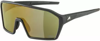Alpina Sports RAM Q-LITE A8673032