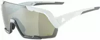 Alpina Rocket Q-Lite Sportbrille smoke-grey matt/mirror silver one size