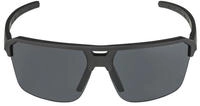 Alpina A8744, Alpina Swift HR Sonnenbrille-Anthrazit-One Size, Kostenlose