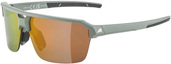 Alpina Sports Swift HR A8744372
