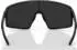 Bliz Eyewear P001 matte black/smoke