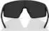 Bliz Eyewear P001 matte black/smoke