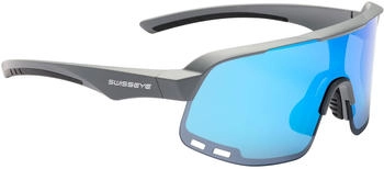 Swiss Eye Anytime grey matt/black/smoke BW Revo