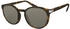 Scott Riff Sonnenbrille tortoise rot - braun (406042-7558)