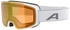 Alpina Sports TAOS Q-LITE A7308