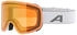 Alpina Sports PENKEN Q A7294