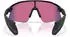 Oakley Stunt Devil OO9517