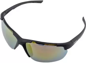 Alpina Sports Defey HR A8657331