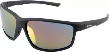 Alpina Sports Defey A8645333
