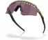 Oakley 2026 Tour De France Sutro Lite Sweep OO9465