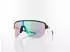 Alpina Sports Ram 2.0 Q-LITE A8772012