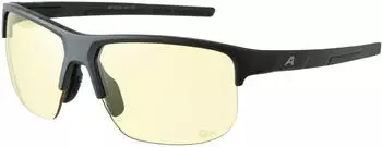 Alpina Sports Eagle Q-LITE A8770034