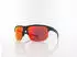 Alpina Sports Eagle Q-LITE A8770032