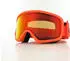 Giro Stomp Ski Goggles