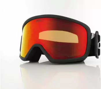 Giro Stomp Ski Goggles