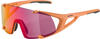 Alpina Snow 8695052, Alpina Snow Hawkeye S Q-lite Sunglasses Orange Pink...