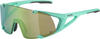 Alpina Snow 8695071, Alpina Snow Hawkeye S Q-lite Sunglasses Grün Green...