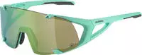 Alpina Hawkeye S Q-Lite turquoise matt / green mirror lens T&uuml;rkis Modell 2024