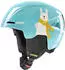 turquoise rabbit