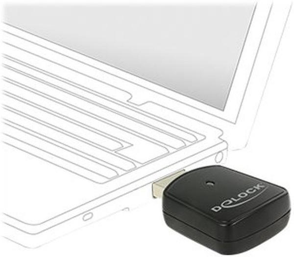 DeLock Wireless LAN USB Mini Stick (12502)