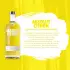 Absolut Citron 40% vol 1,0 l