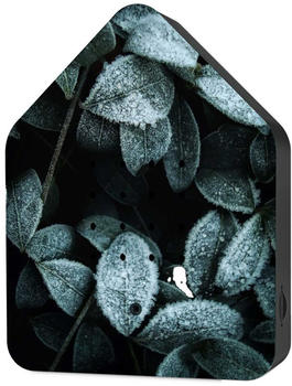 Relaxound Zwitscherbox Klassik frosty leaves (11ZBX0302002)