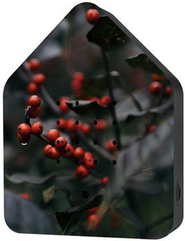 Relaxound Zwitscherbox Klassik merry berries (11ZBX0302003)