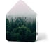 morning forest (11ZBX0301023)