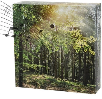 Cepewa Soundbox (82213) Wald
