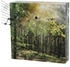 Cepewa Soundbox (82213)