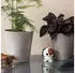 Hoptimist Animal Dog 3003-10