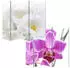 MCW Foto-Paravent Bagheria 180x200cm Orchidee
