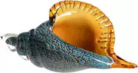 Casablanca by Gilde Dekoobjekt "Skulptur Riesenmuschel" H&ouml;he 13 cm,...