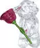 Swarovski Kris Bär Eine Rose voller Liebe OS