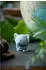 Hoptimist The Big Five Soft Figur S, Elefant Grau