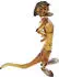 Swarovski The Lion King Timon OS