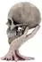 Nemesis Now Metallica Sad But True Totenkopf, Resin, taupe, 22cm (B4696N9)