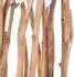 Xtradefactory Botanic Raumteiler Äste, Teak, 170cm (10003649)