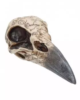 Nemesis Now Edgar's Raven Skull Figur, elfenbein, 25cm (B1063C4)