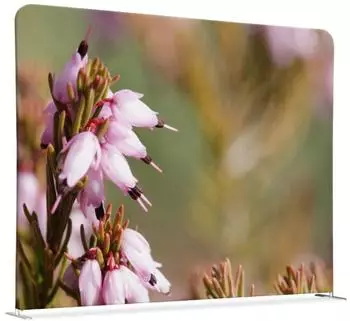 Showdown Displays Raumteiler Textil 200x150cm, pinke Blume Erica, silberner Rahmen (200-150-DSI5)