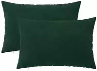 vidaXL Kissenbezug 2 pcs HEERLEN Dunkelgr&uuml;n 50 x 70 cm Samt