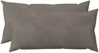 vidaXL Kissenbezug 2 pcs HEERLEN Hellgrau 40 x 80 cm Samt