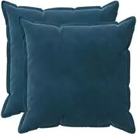vidaXL Kissenbezug 2 stk. HOUTEN Blau 55 x 55 cm Samt