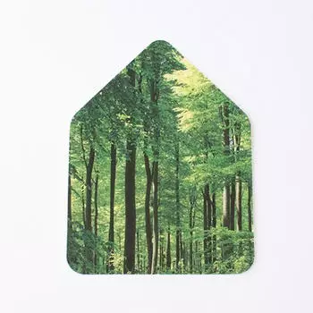 Relaxound Zwitscherbox Limited Edition wald