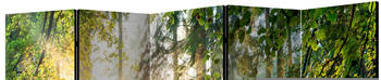 Artgeist Untamed Nature II 225x172cm