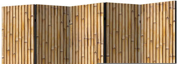 Artgeist Amazonian Wall II 225x172cm