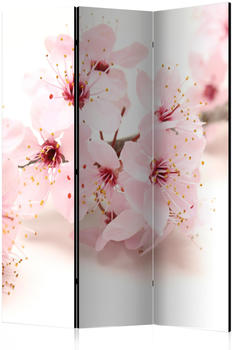 Artgeist Cherry Blossom 135x172cm