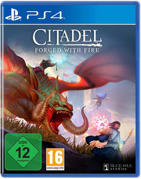 Blue Isle Studios Citadel: Forged With Fire