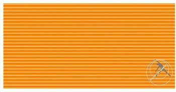 TRENDY Profi GymMat 180 x 60 x 1,0 cm orange